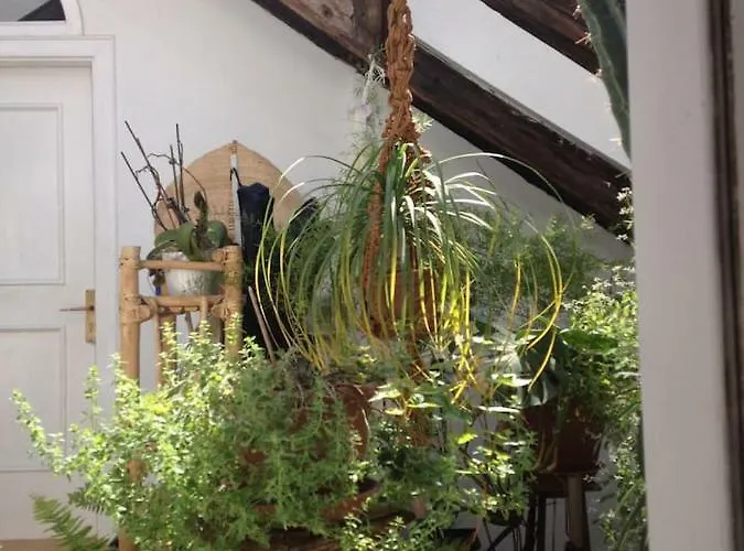 Ugo Art Bright * Bozen